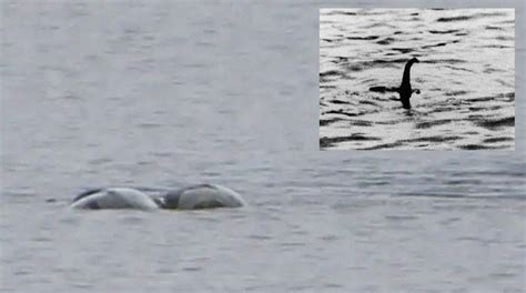 Loch Ness Monster Nessie Captured In Most Exciting Photos After Recent Sighting