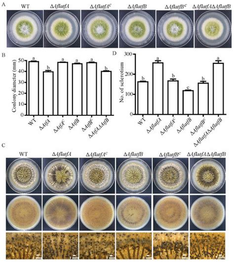 Toxins Free Full Text Genetic Interaction Of Global Regulators