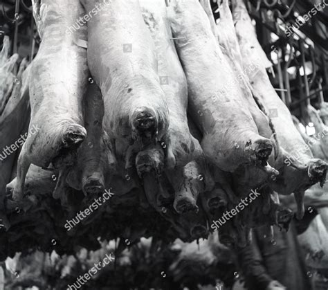 Smithfield Meat Market London Britain Editorial Stock Photo - Stock ...