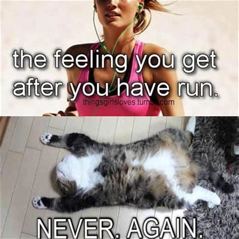 Funny Pictures Exercising Dump A Day