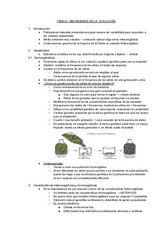 TEMA 4 MECANISMOS DE LA EVOLUCION Pdf