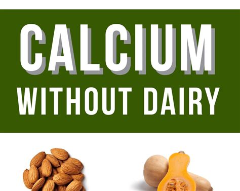 Top Dairy Free Sources Of Calcium Infographic Dr Phoenyx