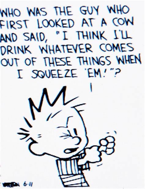 Calvin And Hobbes Wallpaper Quote 10 Calvin And Hobbes Words Of