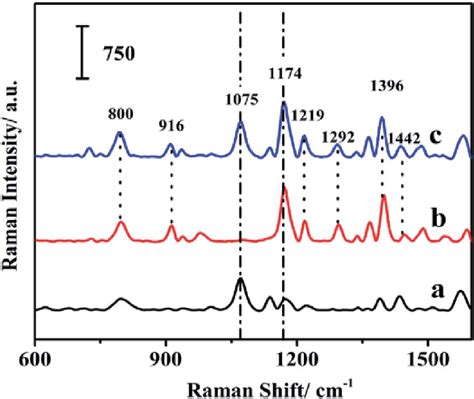 Raman Signals Of The Fiber With Internal Reference A MG Solution