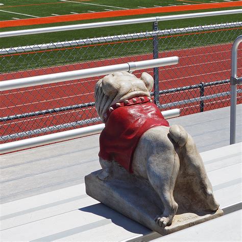 University Of Georgia Uga Statue