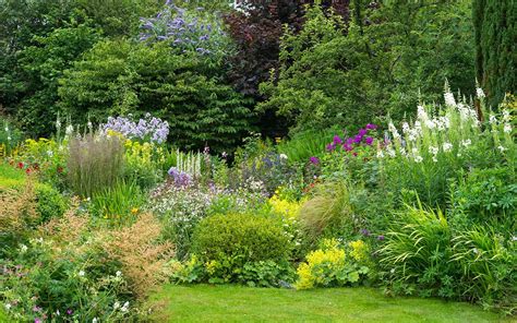 7 Perennial Garden Mistakes to Avoid (and How to Fix Them)