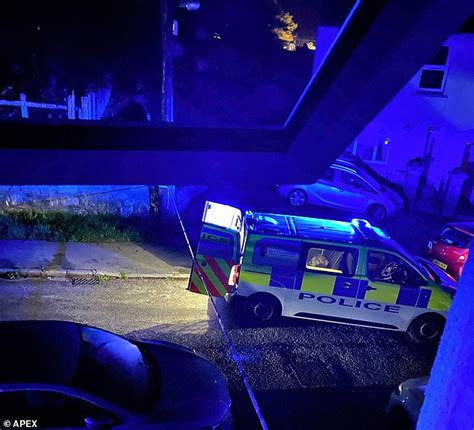 Two Police Officers Stabbed In Devon Village As Man 60 Is Arrested