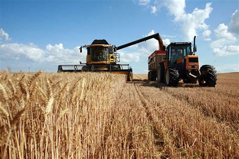 Conducteur D Engins Agricoles Anefa