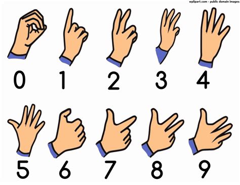 British Sign Language Numbers