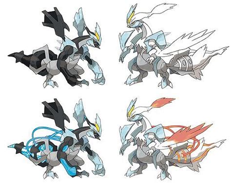 Black Kyurem And White Kyurem Pokemon Sketch Pokémon Black And White