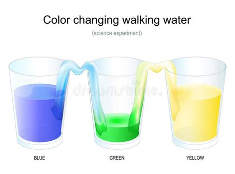 Color Changing Walking Water Science Experiment Stock Illustration