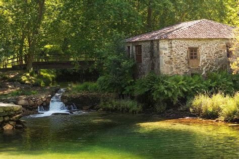 O Rosal Estrena Grupo De Voluntariado De Limpieza De La Naturaleza