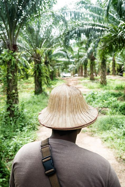 Mahout Photograph by Jijo George - Fine Art America