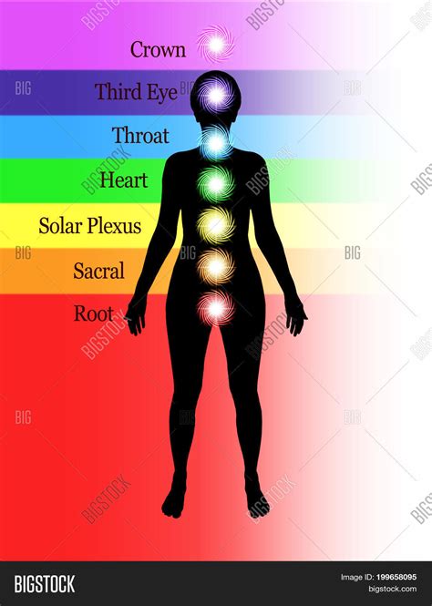 Seven Major Chakras Image Photo Free Trial Bigstock