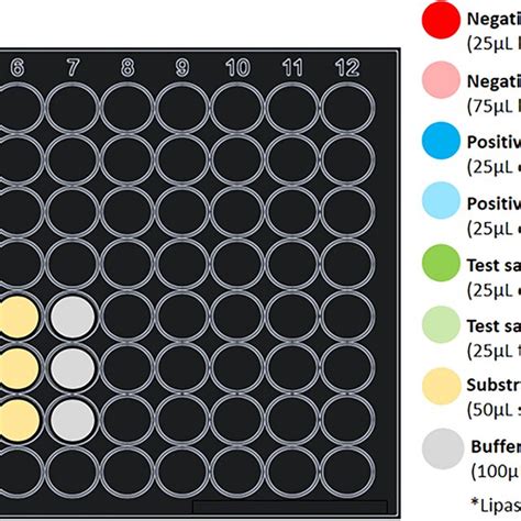 Suggested Plate Layout For Lipase Inhibition Assay Download Scientific Diagram