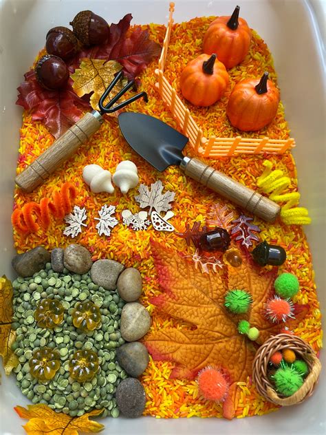 Pumpkin Sensory Bin Fall Sensory Bin Sensory Etsy Canada