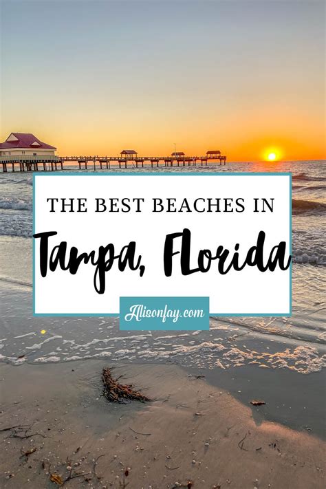 The Best Beaches In Tampa Florida Tampa Florida Beaches Beaches In