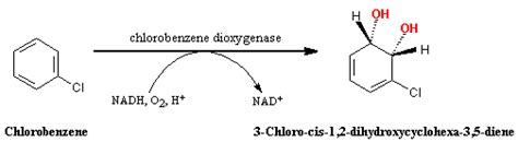 Eawag Bbd Reaction Reacid R0097