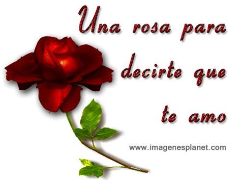 Rosas Con Frases De Amor Y Amistad Para Dedicar A Mi Novio Novia