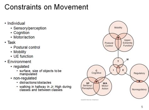 Motor Control Learning Theories Neuroanatomy Review Flashcards Quizlet