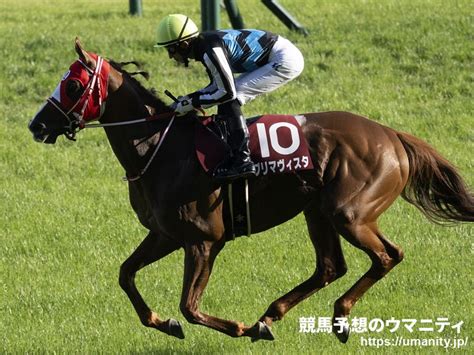 【血統アナリシス】小倉記念2022 Lyphardやnijinsky、トニービンの持続力や粘り強さを強調しやすい｜競馬ニュース｜競馬予想のウマニティ