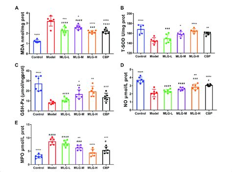 MDA A T SOD B GSH Px C NO D And MPO E Levels In Mice Gastric