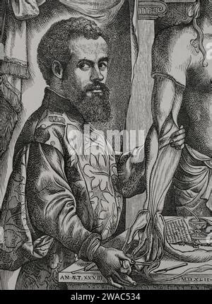 Andreas Vesalius Flemish Anatomist Stock Photo Alamy