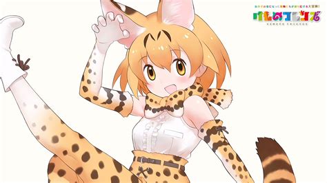 けものフレンズ 壁紙・画像 2 サーバル 【pc壁紙1920×1080他】 アニメ壁紙ネット Pc・android・iphone壁紙・画像