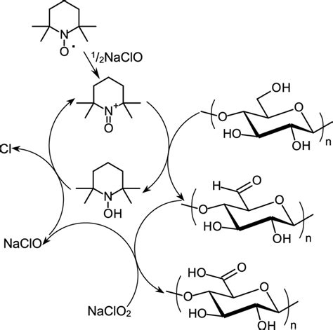 Schematic Diagram Of The Regioselective Oxidation Of Cellulose