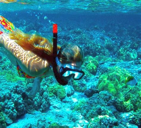 Snorkeling in Zanzibar – Tours Booking online system