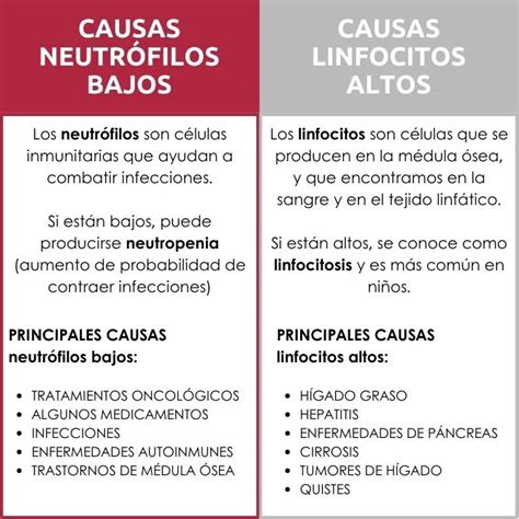 Linfócitos Altos O Que Significa - Linfocitos elevados: causas y significado en la salud - PSICOLOGÍAVITAE