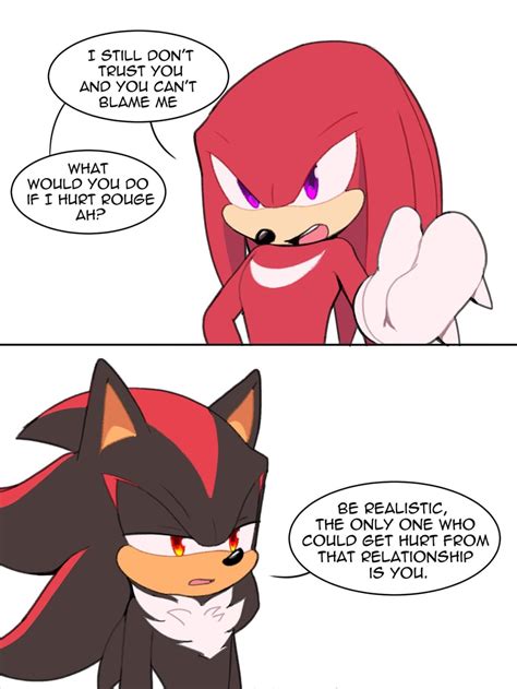 Shadow The Hedgehog And Knuckles The Echidna Sonic Drawn By Toonsite