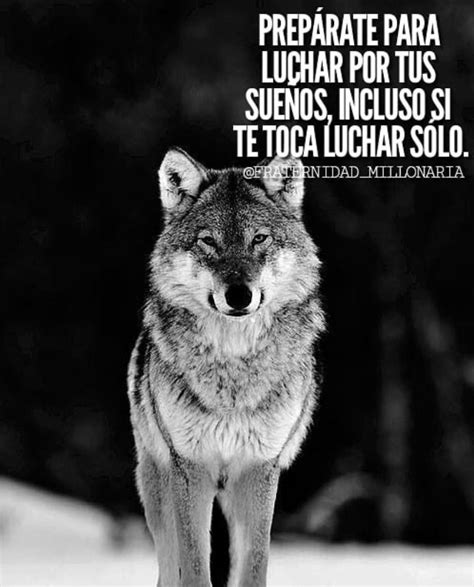 Lobos Frases Motivadoras Info Frasesdemotivacao