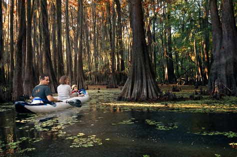 The Ultimate Guide to Caddo Lake State Park, Texas