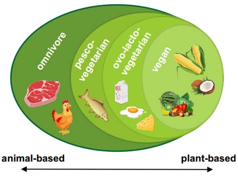 Sustainability Free Full Text Food And Sustainability Is It A