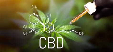 Quels Sont Les Effets Du Cbd Cbd Blog