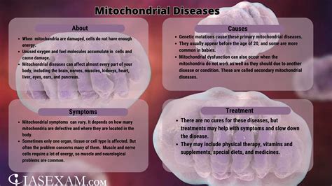 Mitochondrial diseases - IAS EXAM