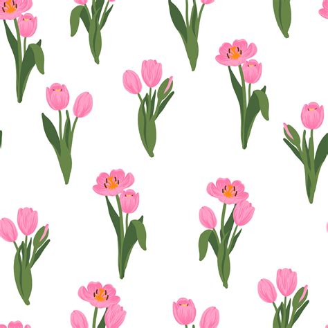 Pink Tulip Wallpapers and Backgrounds 4K, HD, Dual Screen