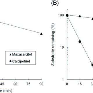 Effects of maxacalcitol, calcipotriol and calcipotriol/betamethasone ...