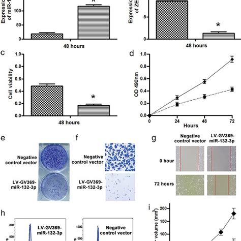 Forced Expression Of Mir‐132‐3p Could Inhibit The Tumorigenicity Of