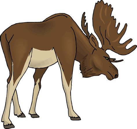 Moose Clipart Pictures Clipartix