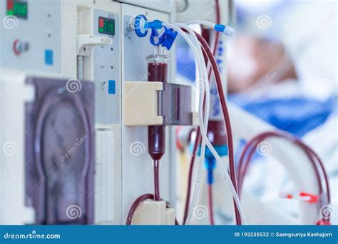 Dialysis Stock Photo Image Of Checking Damage Hemodialysis 193235532