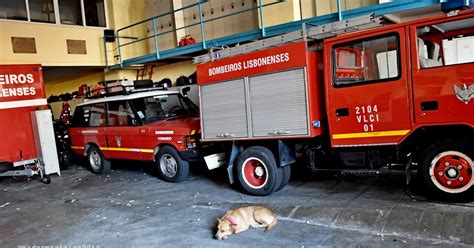 Sobre os Bombeiros Voluntários Lisbonenses O Alerta em modo prevenção