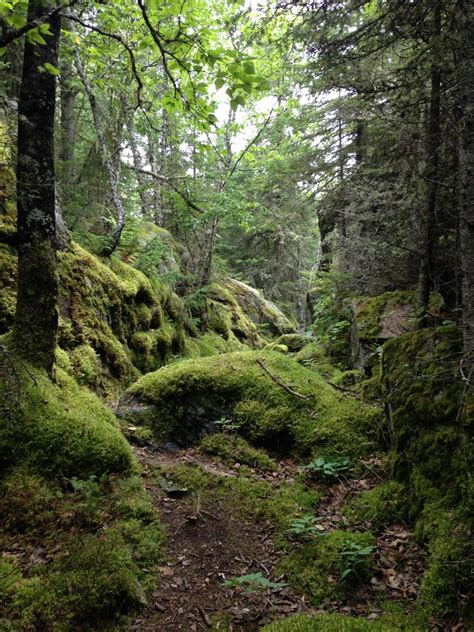 Pukaskwa National Park: the Coastal Hiking Trail