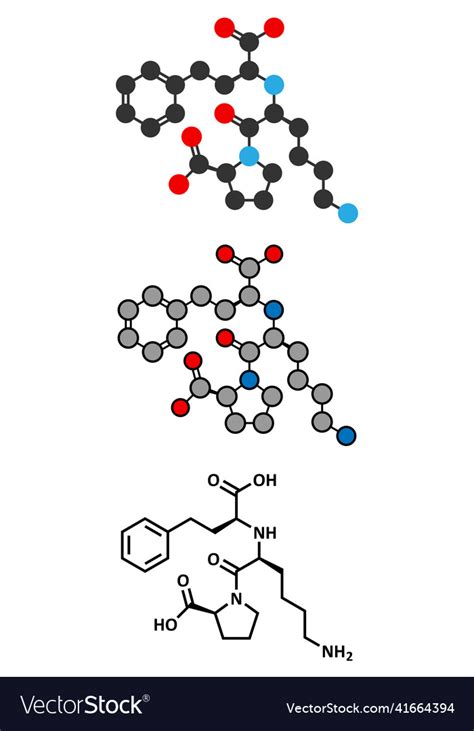 Lisinopril hypertension or high blood pressure Vector Image