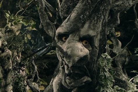 Ents From Lord Of The Rings Fantasy Tolkien Jrr Tolkien Lord Of