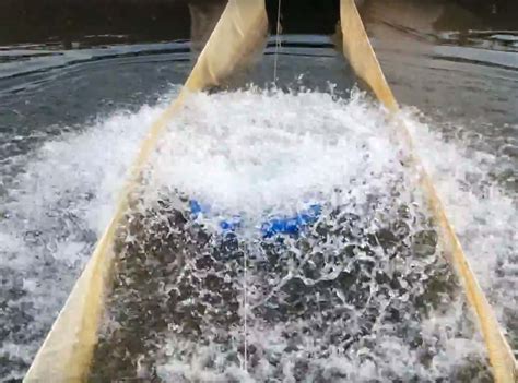 Промышленные аэраторы для озера