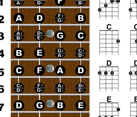 Ukulele Fretboard Chord Wall Chart Poster Chords Soprano Concert Tenor