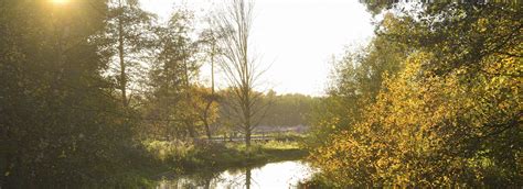 Market Rasen Walks In Woods Visit Lincolnshire