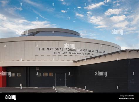 National aquarium new zealand hi-res stock photography and images - Alamy